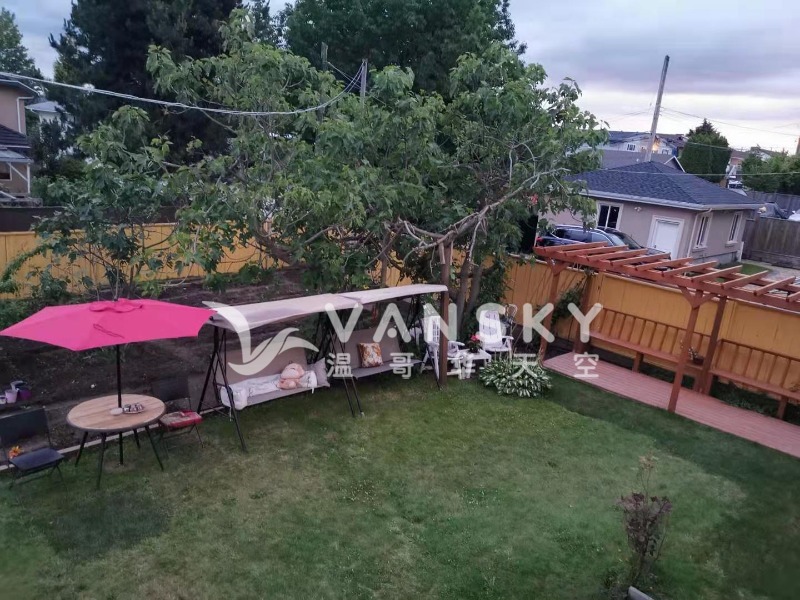 250307164104_6690 一楼院子.jpg